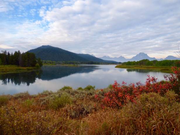 oxbow-bend