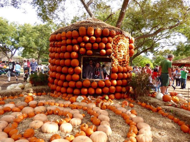 pumpkin-house